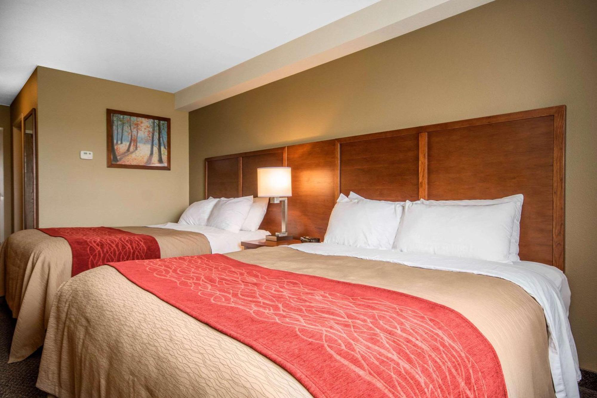 Comfort Inn & Suites Langley Eksteriør billede