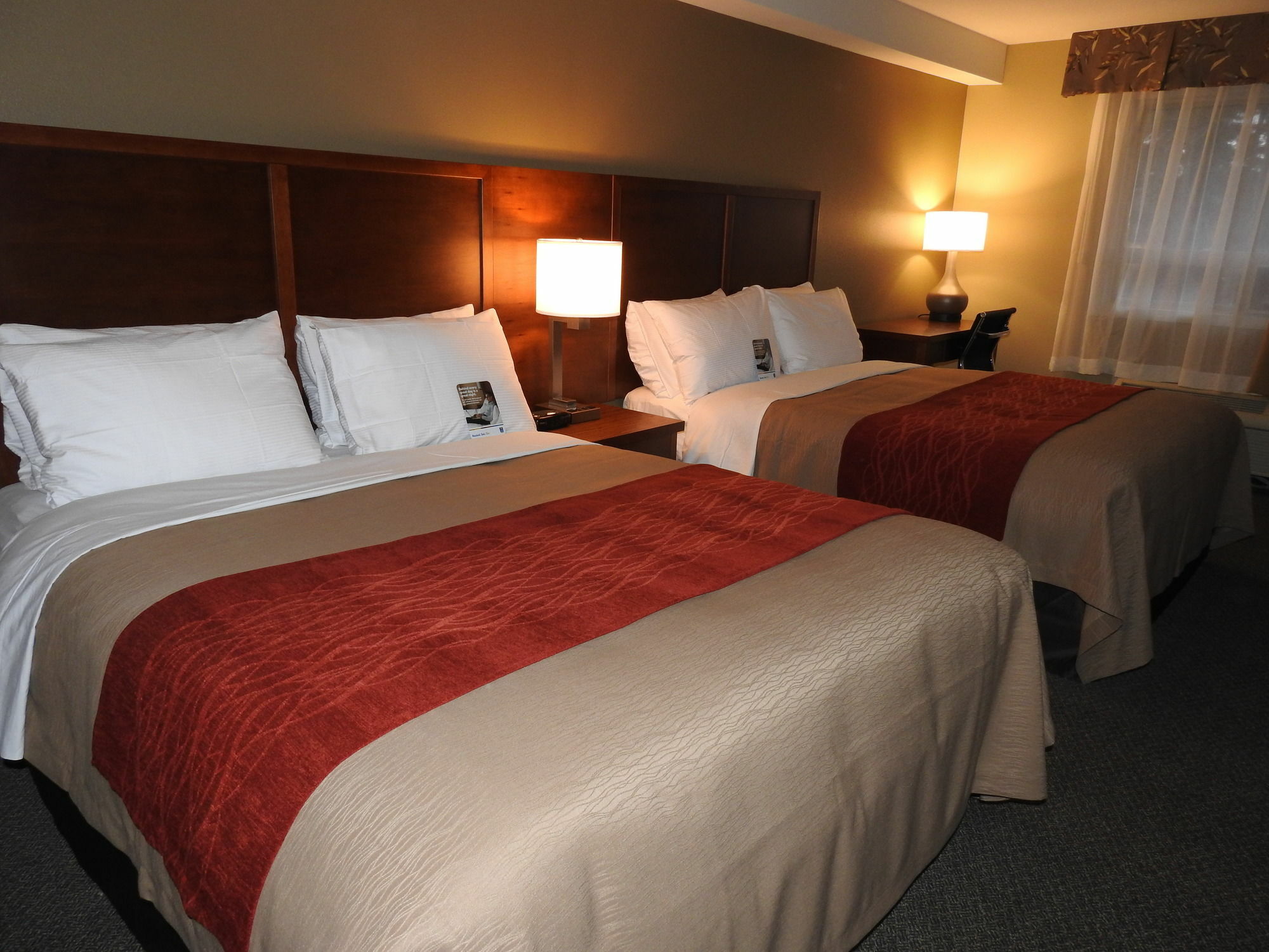 Comfort Inn & Suites Langley Eksteriør billede